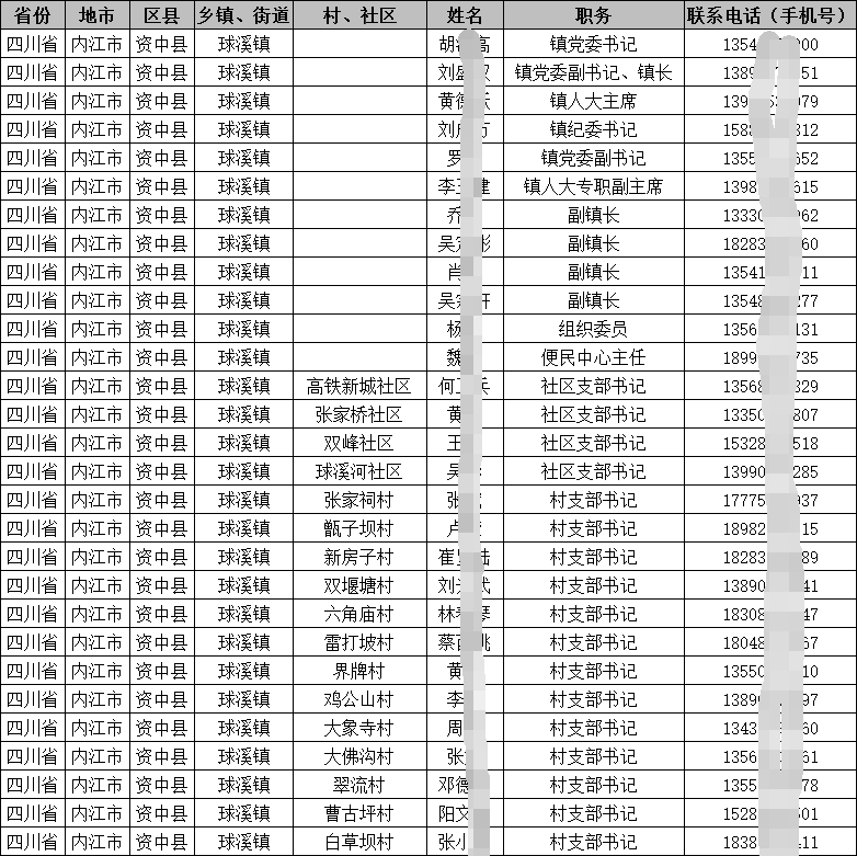 四川省乡镇村基层干部（公职人员）图样.png